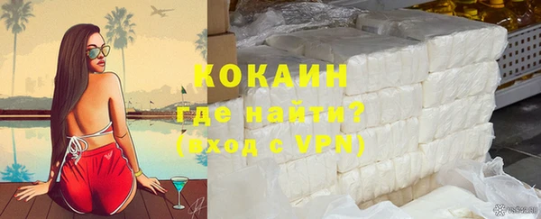 индика Горнозаводск