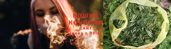 индика Горнозаводск