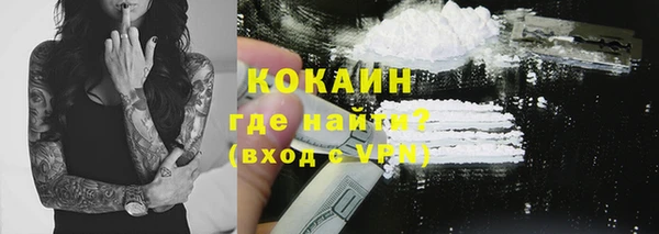 индика Горнозаводск