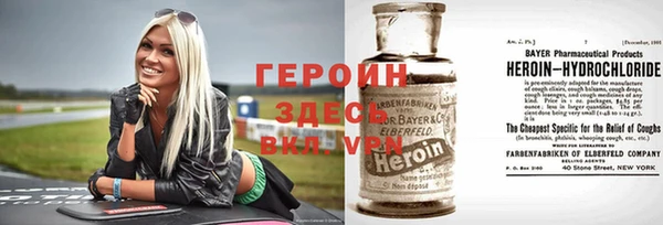 индика Горнозаводск