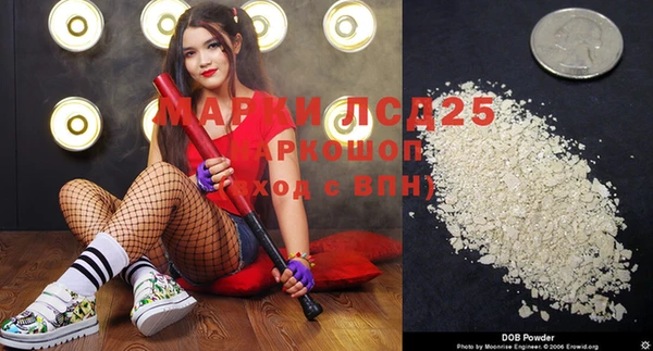 индика Горнозаводск