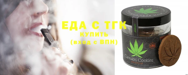 индика Горнозаводск
