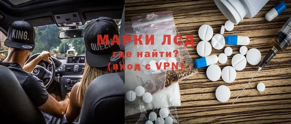 индика Горнозаводск