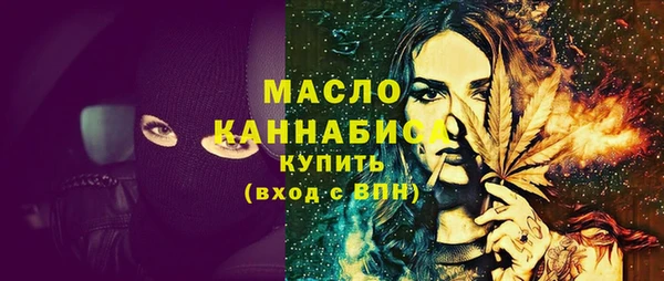 индика Горнозаводск