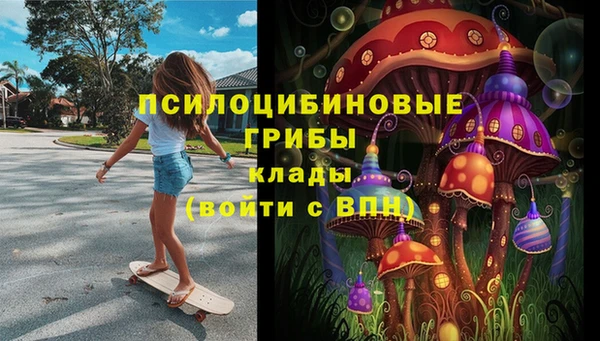 mdpv Горняк