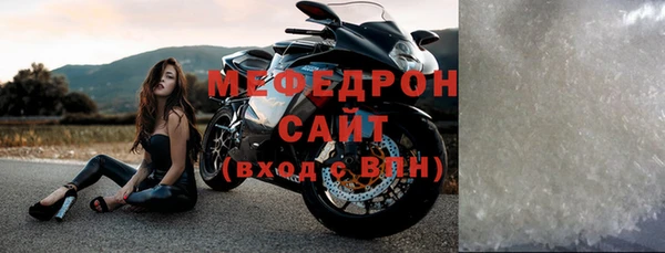 индика Горнозаводск